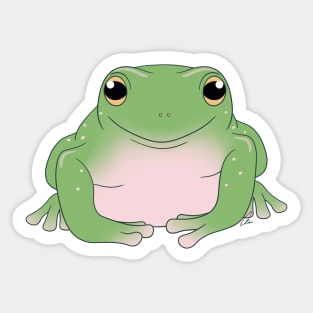 Whites Tree Frog or Australian Green Tree Frog, Green Coloration Sticker